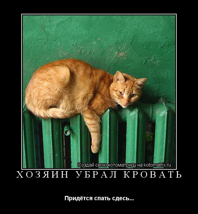 Котоматрица: Хозяин убрал кровать Придётся спать сдесь...