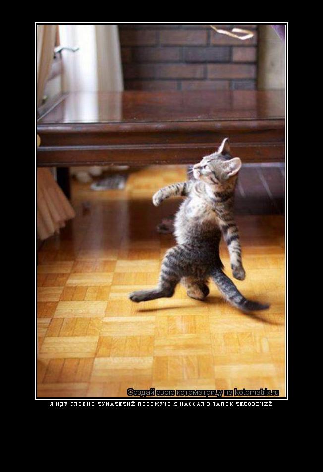 Котоматрица: Я иду словно Чумачечий потомучо я нассал в тапок человечий 