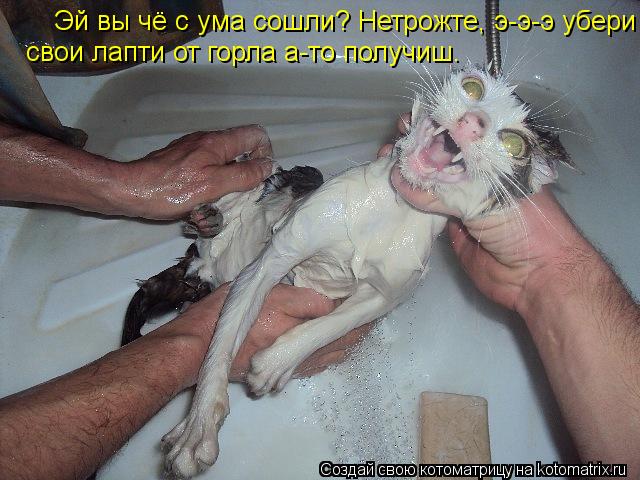 Котоматрица: Эй вы чё с ума сошли? Нетрожте, э-э-э убери свои лапти от горла а-то получиш. свои лапти от горла а-то получиш.