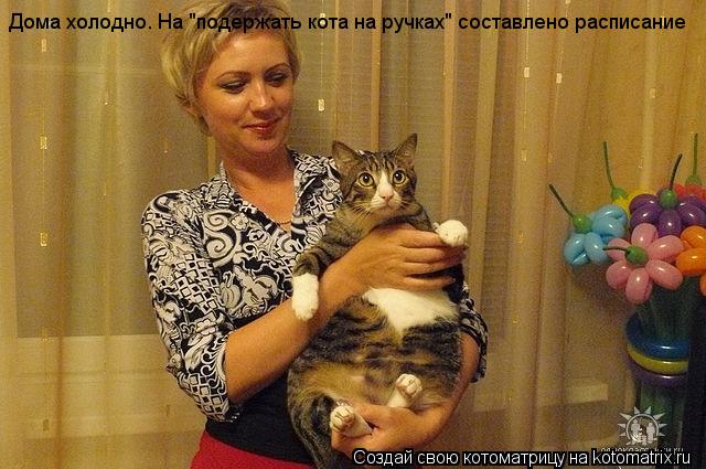 Котоматрица: Дома холодно. На "подержать кота на ручках" составлено расписание