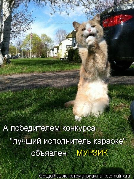Котоматрица: А победителем конкурса  "лучший исполнитель караоке" объявлен МУРЗИК