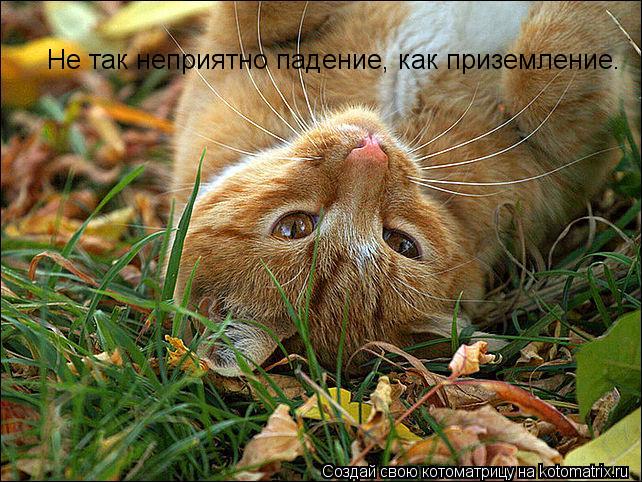 Котоматрица: Не так неприятно падение, как приземление.