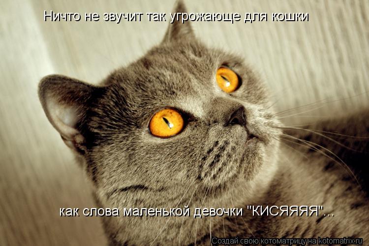 Котоматрица: Ничто не звучит так угрожающе для кошки как слова маленькой девочки "КИСЯЯЯЯ"...