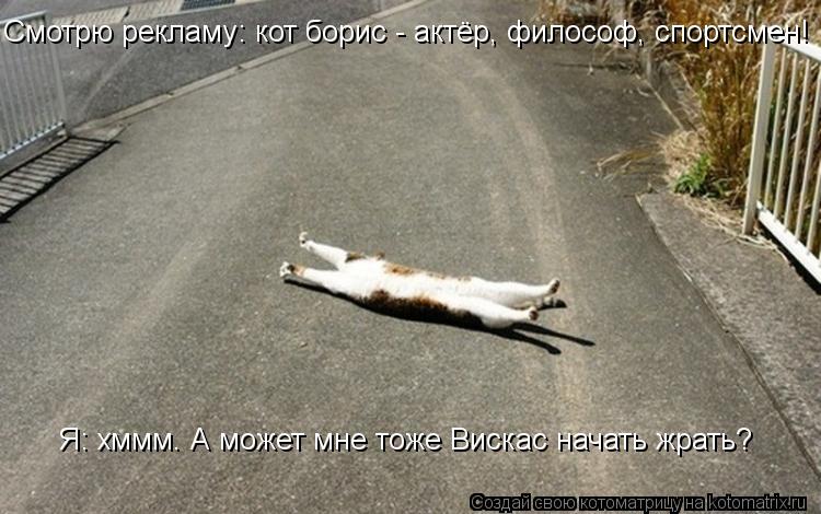 Котоматрица: Смотрю рекламу: кот борис - актёр, философ, спортсмен! Я: хммм. А может мне тоже Вискас начать жрать?