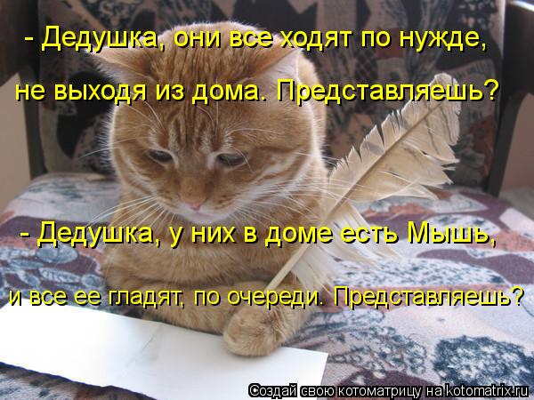 Котоматрица: - Дедушка, они все ходят по нужде, не выходя из дома. Представляешь? - Дедушка, у них в доме есть Мышь, и все ее гладят, по очереди. Представляеш