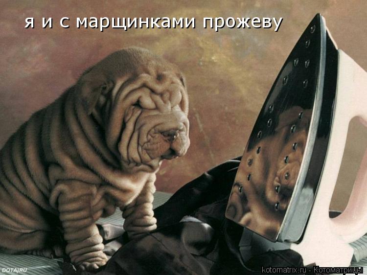 Котоматрица: я и с марщинками прожеву