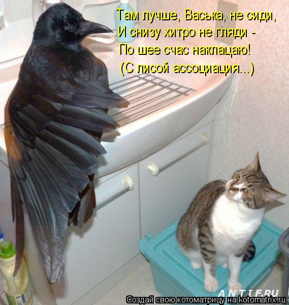 Котоматрица: Там лучше, Васька, не сиди, И снизу хитро не гляди - По шее счас наклацаю! (С лисой ассоциация...)