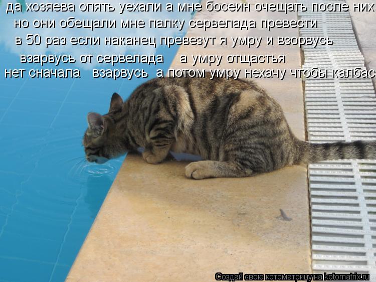 Котоматрица: да хозяева опять уехали а мне босеин очещать после них но они обещали мне палку сервелада превести в 50 раз если наканец превезут я умру и вз