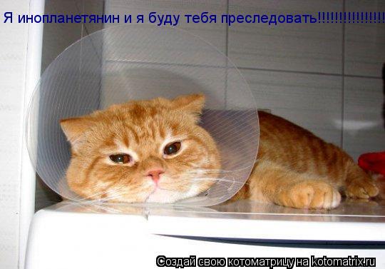 Котоматрица: Я инопланетянин и я буду тебя преследовать!!!!!!!!!!!!!!!!!!!!!!!!!!