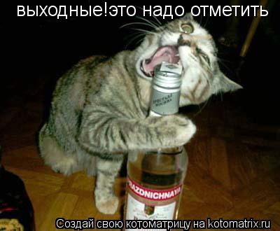 Котоматрица: выходные!это надо отметить