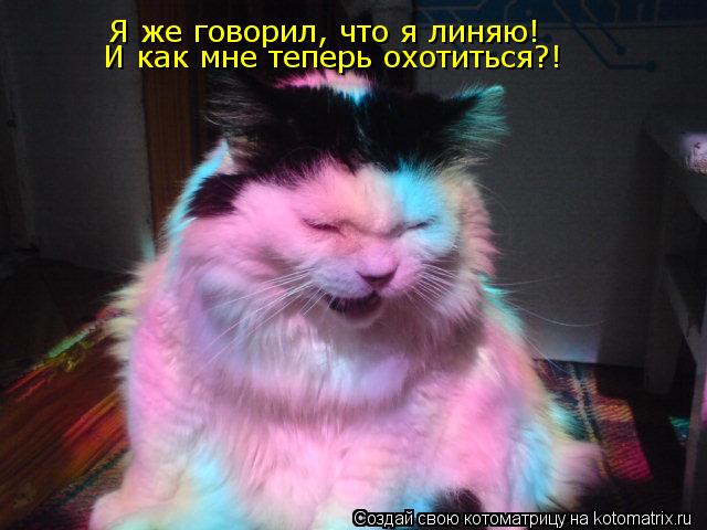 Котоматрица: Я же говорил, что я линяю! И как мне теперь охотиться?!