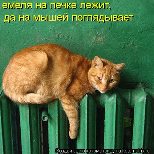 Котоматрица: емеля на печке лежит, да на мышей поглядывает