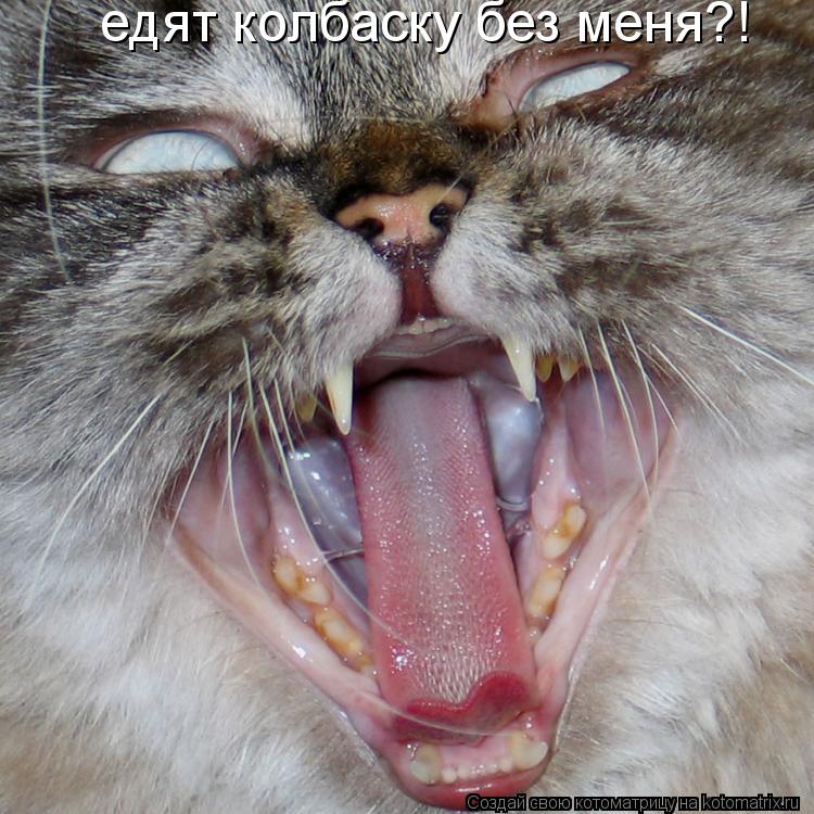 Котоматрица: едят колбаску без меня?!