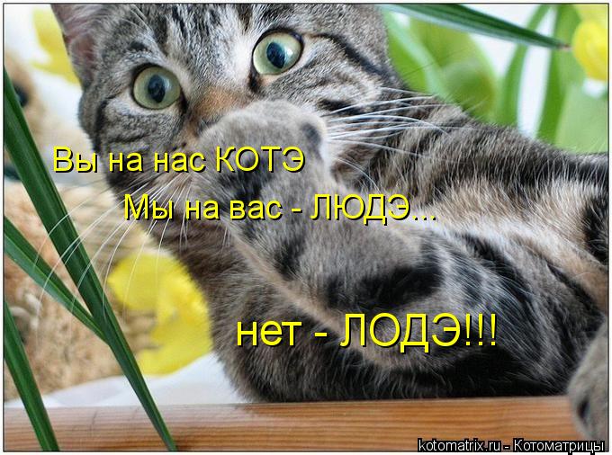 Котоматрица: Вы на нас КОТЭ Мы на вас - ЛЮДЭ... нет - ЛОДЭ!!!