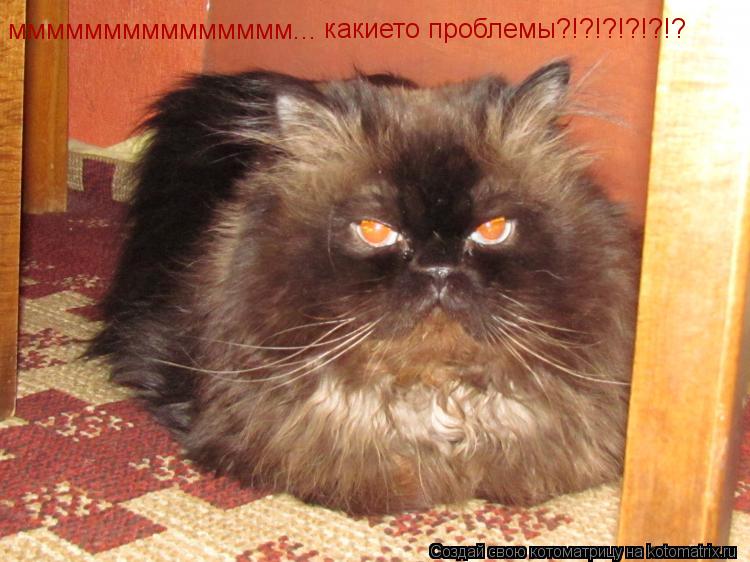 Котоматрица: ммммммммммммммм... какието проблемы?!?!?!?!?!?