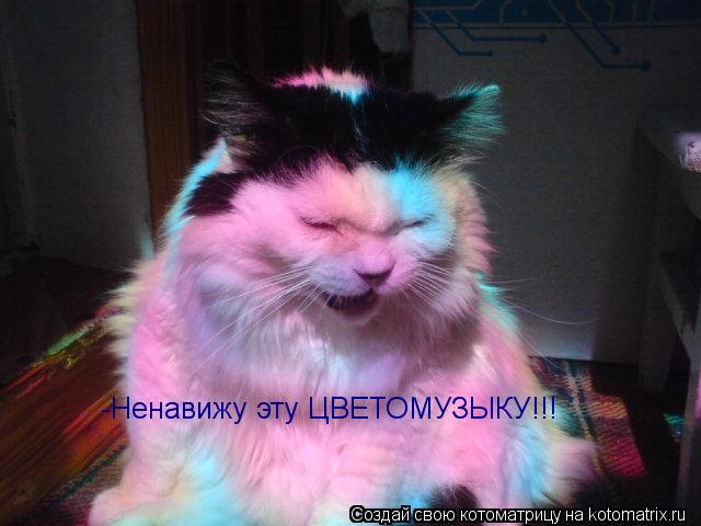 Котоматрица: -Ненавижу эту ЦВЕТОМУЗЫКУ!!!