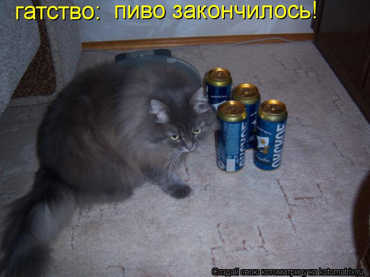 Котоматрица: гатство: пиво закончилось!