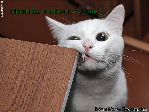 Котоматрица: Могли бы и зубочистку дать !