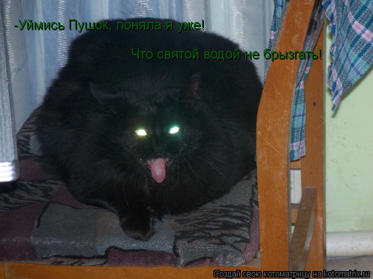 Котоматрица: -Уймись Пушок, поняла я уже!  Что святой водой не брызгать!