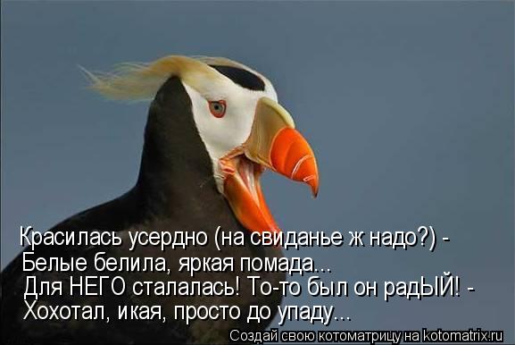 Красилась усердно (на свиданье ж надо?) - Белые белила, яркая помада... Для НЕГО сталалась! То-то был... Котоматрица: Красилась усердно (на свиданье ж надо?) - Белые белила, яркая помада... Для НЕГО сталалась! То-то был он радЫЙ! - Хохотал, икая, просто до упаду...