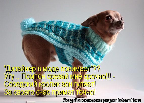 "Дизайнер в моде понимает"?? Угу... Помпон срезай мне срочно!!! - Соседский кролик вон гуляет! За сво... Котоматрица: "Дизайнер в моде понимает"?? Угу... Помпон срезай мне срочно!!! - Соседский кролик вон гуляет! За своего счас примет точно!