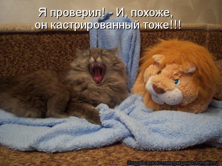 Я проверил! - И, похоже, он кастрированный тоже!!!... Котоматрица: Я проверил! - И, похоже, он кастрированный тоже!!!