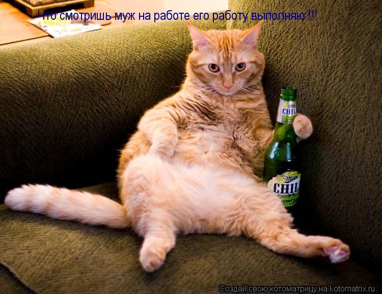 Котоматрица: -Что смотришь муж на работе его работу выполняю !!!