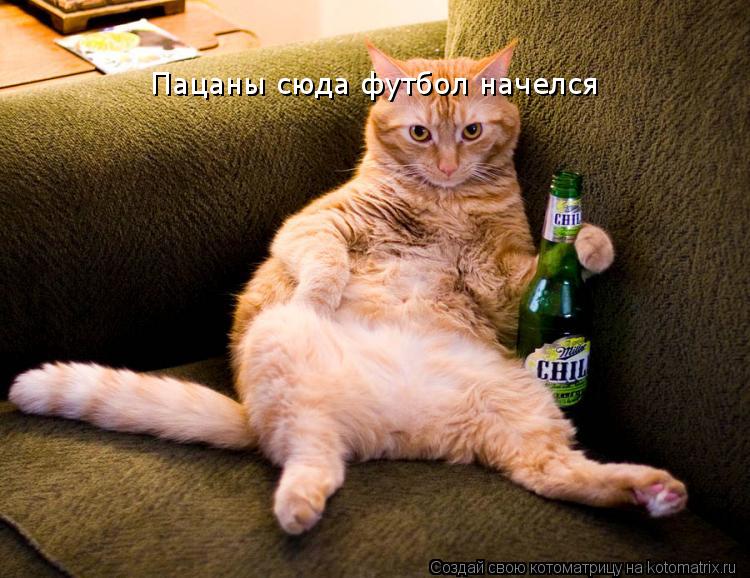 Котоматрица: Пацаны сюда футбол начелся