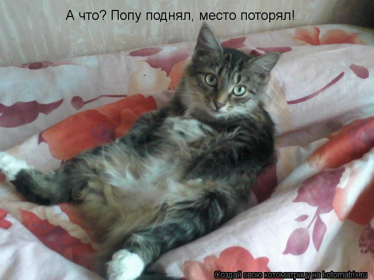 Котоматрица: А что? Попу поднял, место поторял!