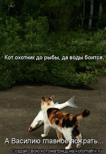 Котоматрица: Кот охотник до рыбы, да воды боится.  А Василию главное пожрать...