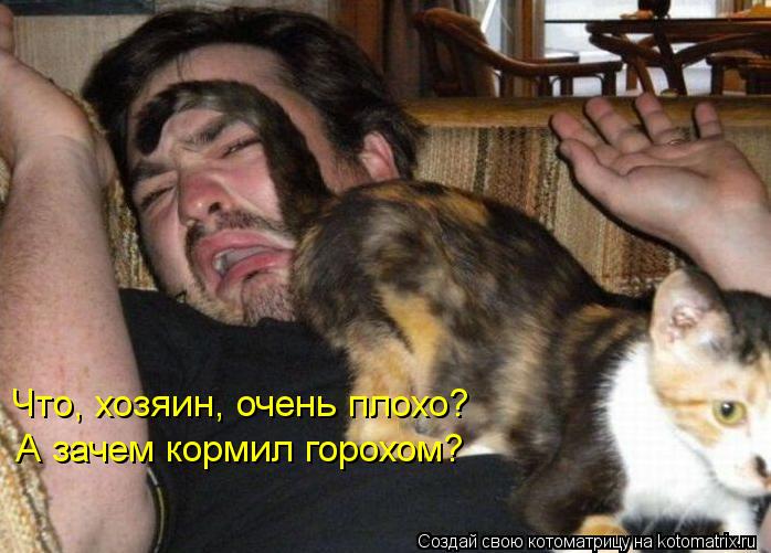 Котоматрица: Что, хозяин, очень плохо?  А зачем кормил горохом?
