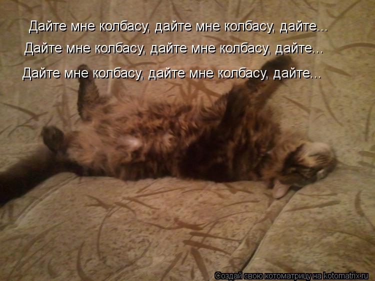 Котоматрица: Дайте мне колбасу, дайте мне колбасу, дайте... Дайте мне колбасу, дайте мне колбасу, дайте... Дайте мне колбасу, дайте мне колбасу, дайте...