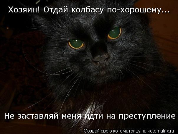 Котоматрица: Хозяин! Отдай колбасу по-хорошему... Не заставляй меня идти на преступление