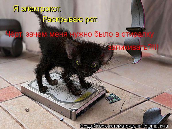 Котоматрица: Я электрокот. Раскрываю рот. Чёрт, зачем меня нужно было в стиралку запихивать?!!!