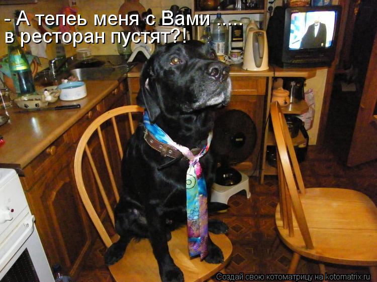 - А тепеь меня с Вами ..... в ресторан пустят?!... Котоматрица: - А тепеь меня с Вами ..... в ресторан пустят?!