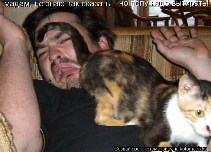 Котоматрица: мадам, не знаю как сказать... но попу надо вытирать!