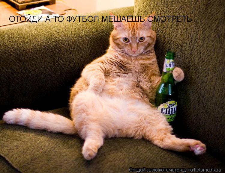 Котоматрица: ОТОЙДИ А ТО ФУТБОЛ МЕШАЕШЬ СМОТРЕТЬ
