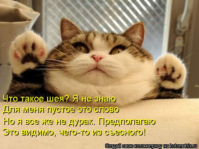 Котоматрица: Что такое шея? Я не знаю   Для меня пустое это слово Но я все же не дурак. Предполагаю  Это видимо, чего-то из съесного!