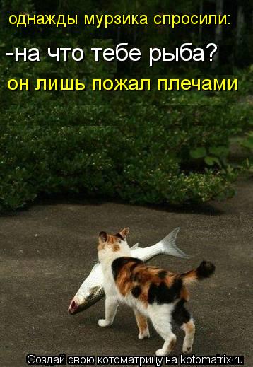 Котоматрица: однажды мурзика спросили: -на что тебе рыба? он лишь пожал плечами