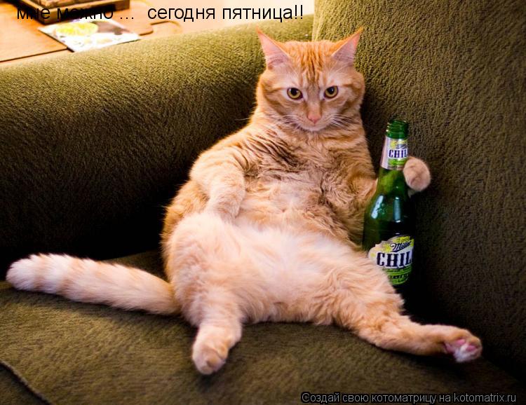 Котоматрица: мне можно ...  сегодня пятница!!