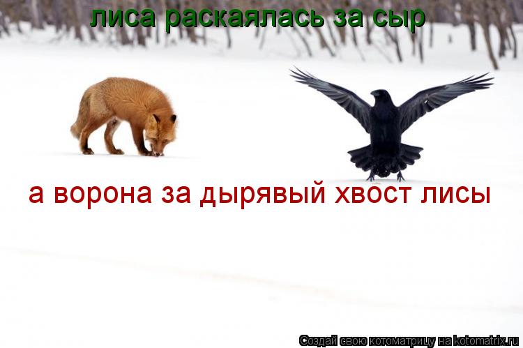 Котоматрица: лиса раскаялась за сыр а ворона за дырявый хвост лисы