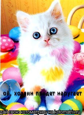 Котоматрица: ой, хозяин придет наругает ой, хозяин придет наругает