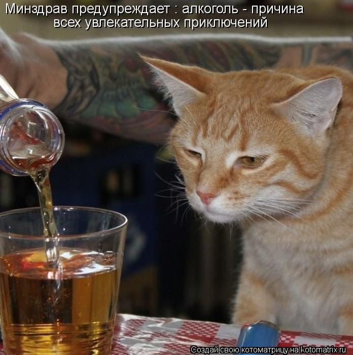 Котоматрица: Минздрав предупреждает : алкоголь - причина    всех увлекательных приключений
