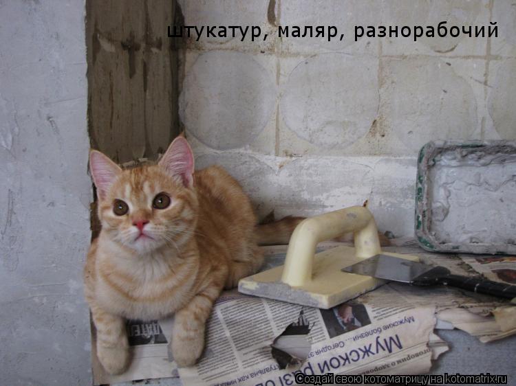 Котоматрица: штукатур, маляр, разнорабочий
