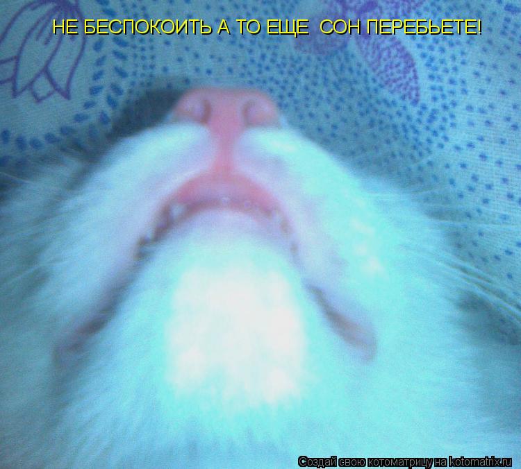 Котоматрица: НЕ БЕСПОКОИТЬ А ТО ЕЩЕ  СОН ПЕРЕБЬЕТЕ!