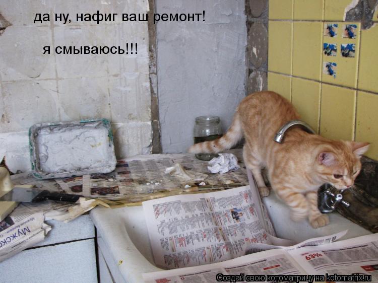Котоматрица: да ну, нафиг ваш ремонт! я смываюсь!!!