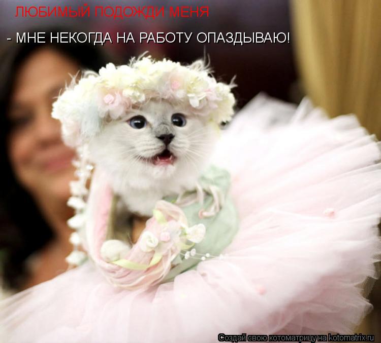 Котоматрица: ЛЮБИМЫЙ ПОДОЖДИ МЕНЯ   - МНЕ НЕКОГДА НА РАБОТУ ОПАЗДЫВАЮ!