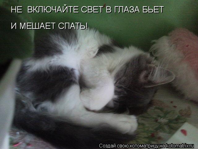 Котоматрица: НЕ  ВКЛЮЧАЙТЕ СВЕТ В ГЛАЗА БЬЕТ И МЕШАЕТ СПАТЬ!