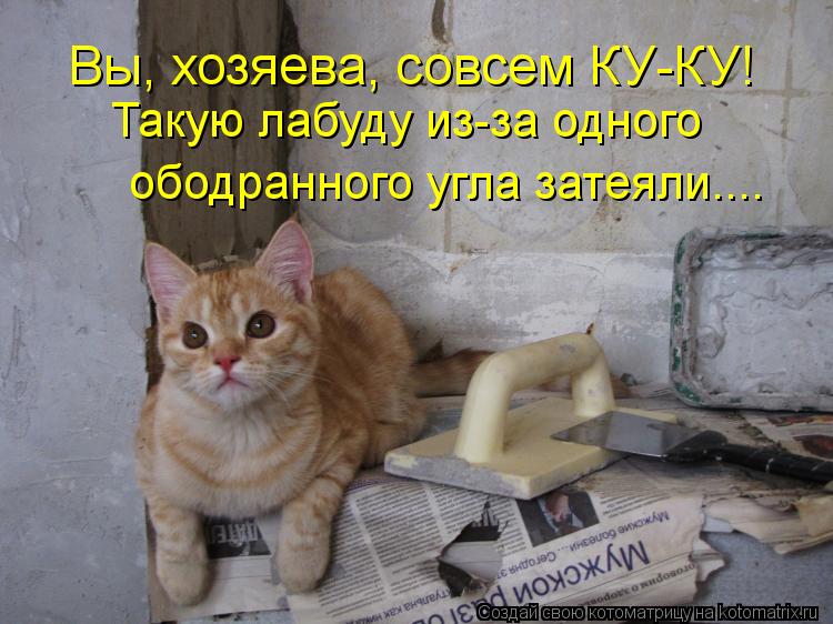Котоматрица: Вы, хозяева, совсем КУ-КУ! Такую лабуду из-за одного  ободранного угла затеяли....