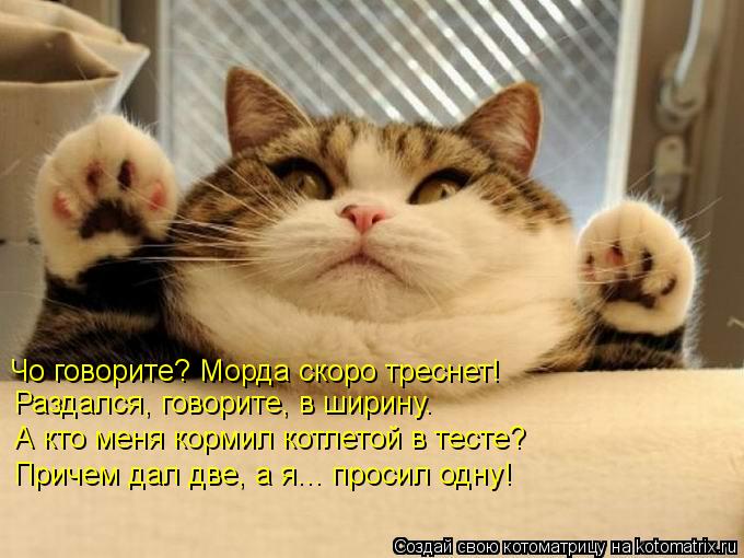 Котоматрица: Чо говорите? Морда скоро треснет!  Раздался, говорите, в ширину.   А кто меня кормил котлетой в тесте?  Причем дал две, а я... просил одну!